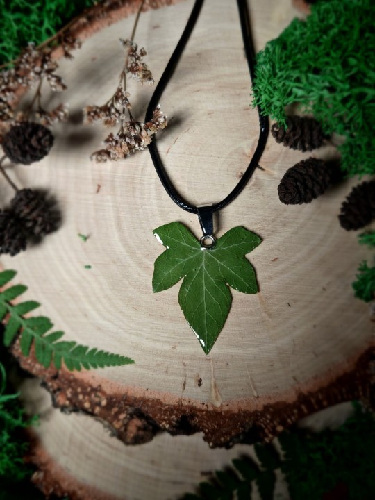 Delikatny wisiorek wykonany z prawdziwego liścia bluszczu, zamkniętego w przezroczystej żywicy, która podkreśla jego naturalną fakturę i zachowuje unikatowy kształt.